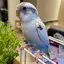 あんちゃんのプロフィール画像