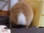 あやちゃんのプロフィール画像