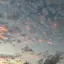 みぃのプロフィール画像