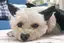 しーちゃんのプロフィール画像