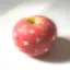りんごのプロフィール画像