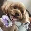 ちさのプロフィール画像