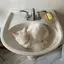 みゆのプロフィール画像