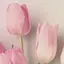 Saaraのプロフィール画像