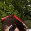 ぽーのプロフィール画像