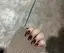 ねこのプロフィール画像