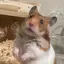 みのプロフィール画像
