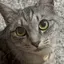 ゆりのプロフィール画像