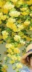 あんのプロフィール画像