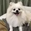 あさこのプロフィール画像