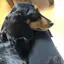 Sのプロフィール画像