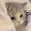 hのプロフィール画像