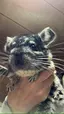 豆ぞうのプロフィール画像
