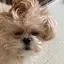 みやのプロフィール画像