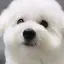 ユナのプロフィール画像