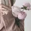 Nのプロフィール画像