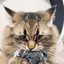 斗真のプロフィール画像