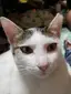 なおきのプロフィール画像