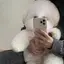 mのプロフィール画像