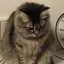 Ryoのプロフィール画像