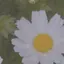 ゆのプロフィール画像