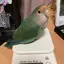 秀子のプロフィール画像