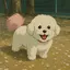 Saのプロフィール画像