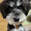 Qooのプロフィール画像