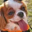 kikiのプロフィール画像