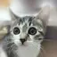 あまのプロフィール画像
