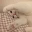 kのプロフィール画像