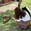 ばたけのプロフィール画像