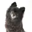 山口のプロフィール画像