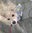 ゆみのプロフィール画像