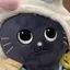 sh11のプロフィール画像
