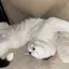 nのプロフィール画像