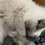 美百紀のプロフィール画像