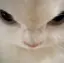 ゆのプロフィール画像