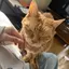 はるのプロフィール画像