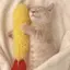 misaのプロフィール画像