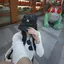 ぺのプロフィール画像