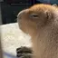 ぼんちのプロフィール画像
