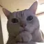 ムムのプロフィール画像