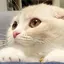ユウのプロフィール画像