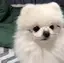 ゆづきのプロフィール画像