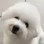 えのプロフィール画像