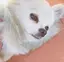 ゆーのプロフィール画像