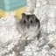 ゆうのプロフィール画像