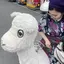 さこちのプロフィール画像