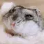 果奈のプロフィール画像